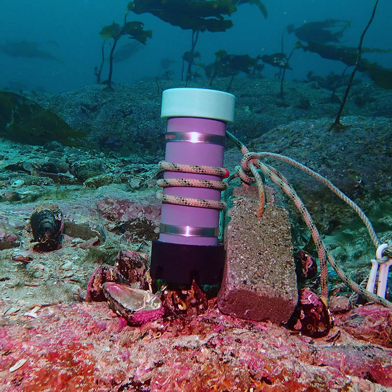 De hydrofoon maakt geluidsopnamen van het rif © Jose M. Fariñas-Franco, ATU