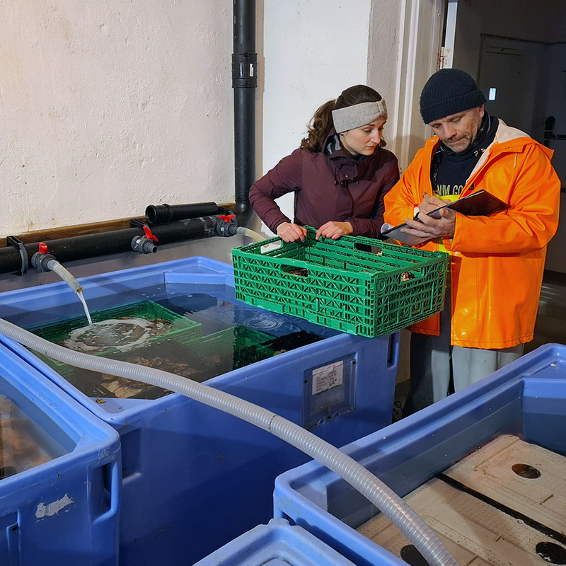 Juste en Knut werken aan het monitoring experiment