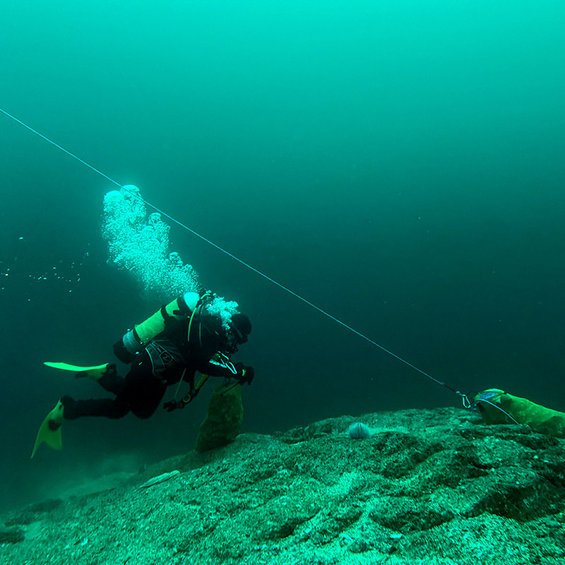 Knut verzamelt paardenmosselen voor de experimenten