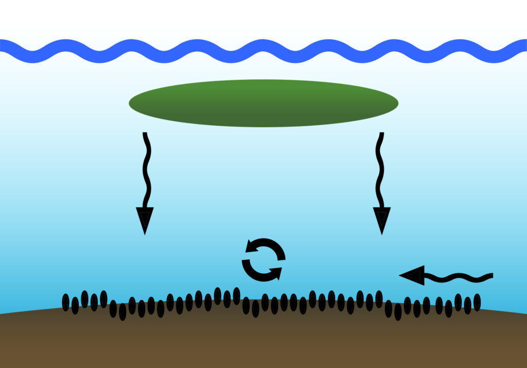 Bodem sediment accumulatie